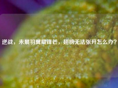 逆战，未展羽翼藏锋芒，翅膀无法张开怎么办？