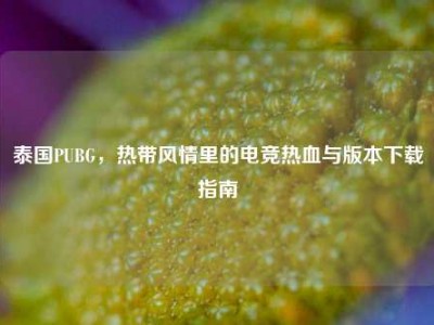 泰国PUBG，热带风情里的电竞热血与版本下载指南