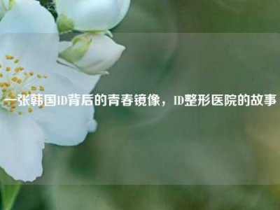 一张韩国ID背后的青春镜像，ID整形医院的故事