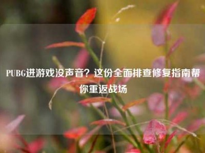 PUBG进游戏没声音？这份全面排查修复指南帮你重返战场