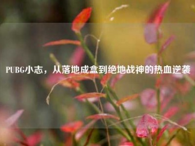 PUBG小志，从落地成盒到绝地战神的热血逆袭