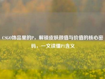 CSGO饰品里的P，解锁皮肤颜值与价值的核心密码，一文读懂P1含义
