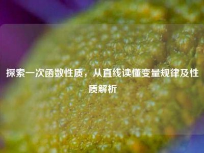探索一次函数性质，从直线读懂变量规律及性质解析