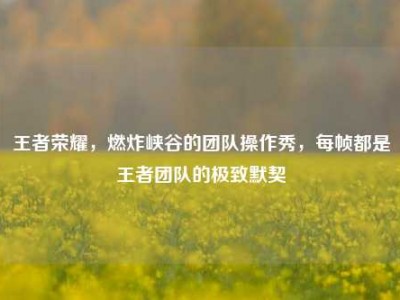 王者荣耀，燃炸峡谷的团队操作秀，每帧都是王者团队的极致默契
