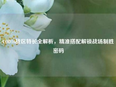 COD16战区特长全解析，精准搭配解锁战场制胜密码