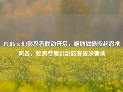 PUBG×幻影忍者联动开启，绝地战场掀起忍术风暴，吃鸡专属幻影忍者皮肤登场