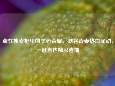 藏在搜索框里的王者荣耀，峡谷青春热血涌动，一键直达精彩直播