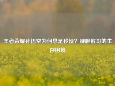 王者荣耀孙悟空为何总是秒没？聊聊猴哥的生存困境