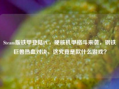 Steam版铁甲登陆PC，硬核机甲格斗来袭，钢铁巨兽热血对决，这究竟是款什么游戏？