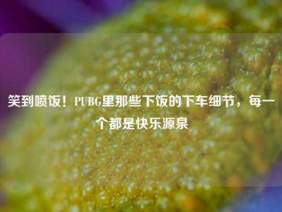 笑到喷饭！PUBG里那些下饭的下车细节，每一个都是快乐源泉