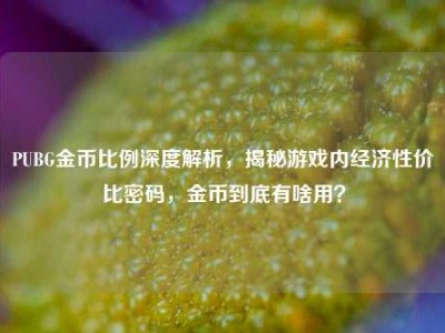 PUBG金币比例深度解析，揭秘游戏内经济性价比密码，金币到底有啥用？