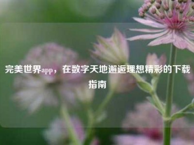 完美世界app，在数字天地邂逅理想精彩的下载指南
