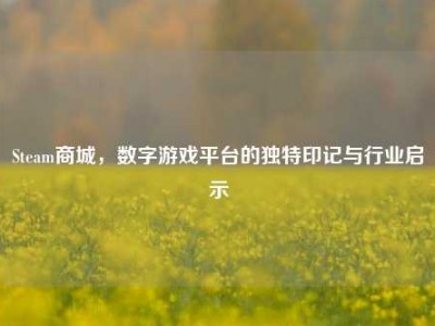 Steam商城，数字游戏平台的独特印记与行业启示