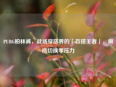 PUBG柏林裤，战场穿搭界的「百搭王者」，风格切换零压力