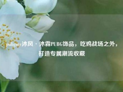 pubgmc沐风·沐霖PUBG饰品，吃鸡战场之外，打造专属潮流收藏