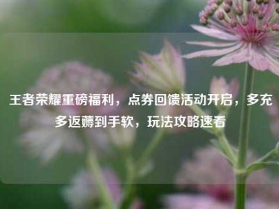 王者荣耀重磅福利，点券回馈活动开启，多充多返薅到手软，玩法攻略速看