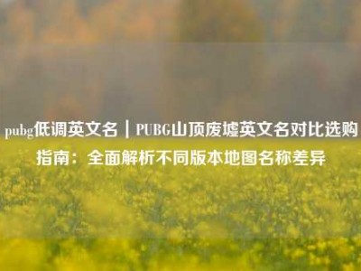 pubg低调英文名｜PUBG山顶废墟英文名对比选购指南：全面解析不同版本地图名称差异