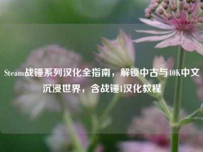 Steam战锤系列汉化全指南，解锁中古与40K中文沉浸世界，含战锤1汉化教程