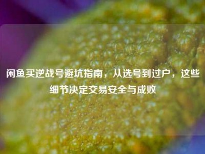 闲鱼买逆战号避坑指南，从选号到过户，这些细节决定交易安全与成败