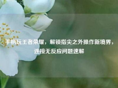 手柄玩王者荣耀，解锁指尖之外操作新境界，连接无反应问题速解