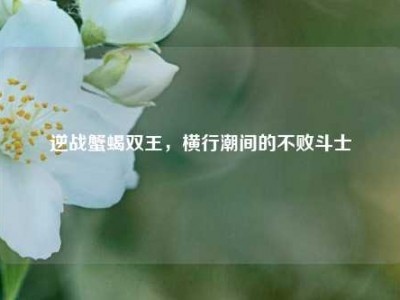 逆战蟹蝎双王，横行潮间的不败斗士