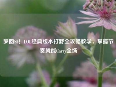 梦回S5！LOL经典版本打野全攻略教学，掌握节奏就能Carry全场
