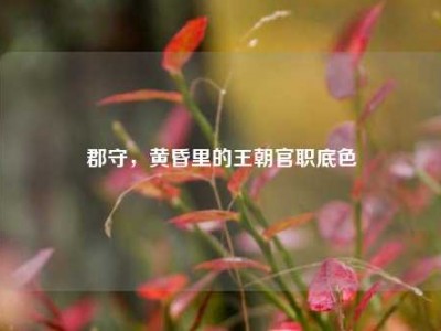 郡守，黄昏里的王朝官职底色