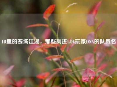 ID里的赛场江湖，那些刻进LOL玩家DNA的队员名