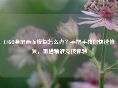 CSGO全屏画面模糊怎么办？手把手教你快速修复，重拾精准竞技体验