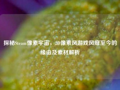 探秘Steam像素宇宙，2D像素风游戏风靡至今的缘由及素材解析