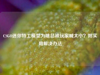 CSGO迷你特工模型为啥总被玩家喊太小？附实用解决办法