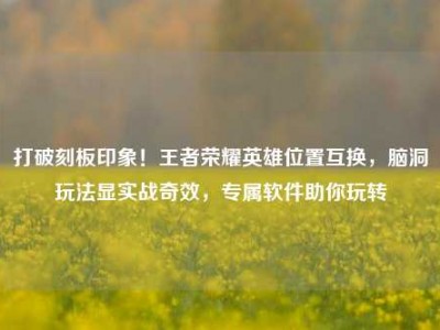 打破刻板印象！王者荣耀英雄位置互换，脑洞玩法显实战奇效，专属软件助你玩转