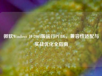 微软Windows 10 2004版运行PUBG，兼容性适配与实战优化全指南