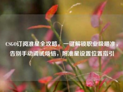 CSGO订阅准星全攻略，一键解锁职业级瞄准，告别手动调试烦恼，附准星设置位置指引