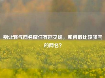 别让骚气网名藏住有趣灵魂，如何取比较骚气的网名？