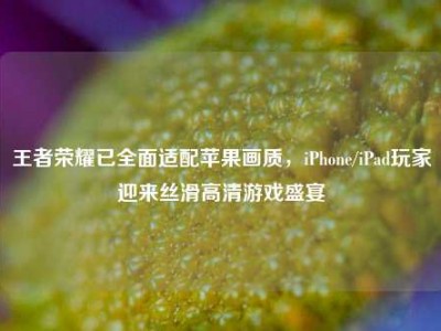 王者荣耀已全面适配苹果画质，iPhone/iPad玩家迎来丝滑高清游戏盛宴