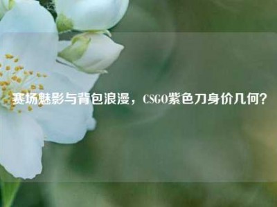 赛场魅影与背包浪漫，CSGO紫色刀身价几何？