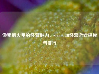 像素烟火里的经营魅力，Steam 2D经营游戏探秘与排行