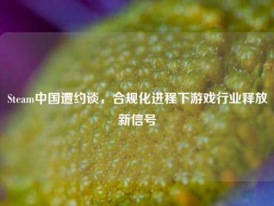 Steam中国遭约谈，合规化进程下游戏行业释放新信号