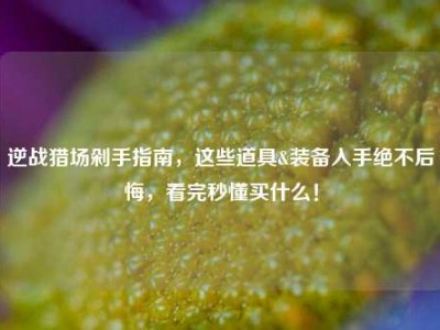 逆战猎场剁手指南，这些道具&装备入手绝不后悔，看完秒懂买什么！