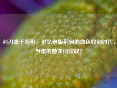 利刃隐于暗影，追忆老版荆轲的血色收割时代，当年的她如何获取？
