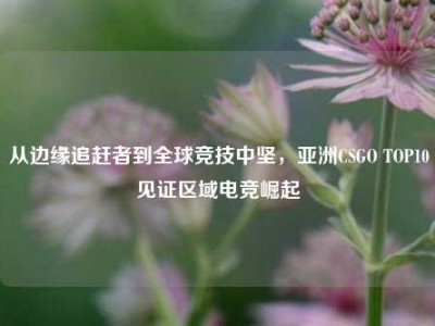 从边缘追赶者到全球竞技中坚，亚洲CSGO TOP10见证区域电竞崛起