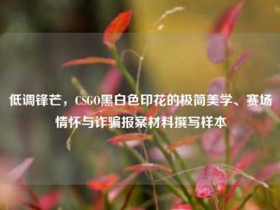 低调锋芒，CSGO黑白色印花的极简美学、赛场情怀与诈骗报案材料撰写样本