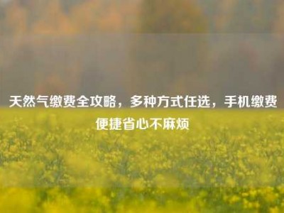 天然气缴费全攻略，多种方式任选，手机缴费便捷省心不麻烦