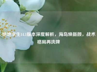 绝地求生14.1版本深度解析，海岛焕新颜，战术格局再洗牌