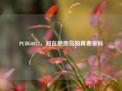 PUBG0812，刻在绝地岛的青春坐标