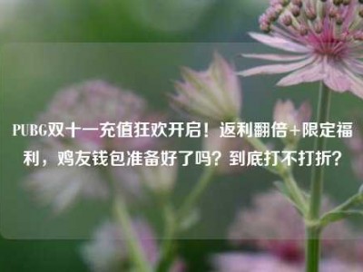 PUBG双十一充值狂欢开启！返利翻倍+限定福利，鸡友钱包准备好了吗？到底打不打折？