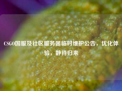CSGO国服及社区服务器临时维护公告，优化体验，静待归来