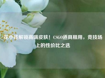 花小钱解锁高端皮肤！CSGO道具租用，竞技场上的性价比之选