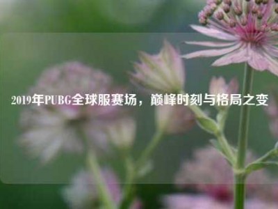 2019年PUBG全球服赛场，巅峰时刻与格局之变